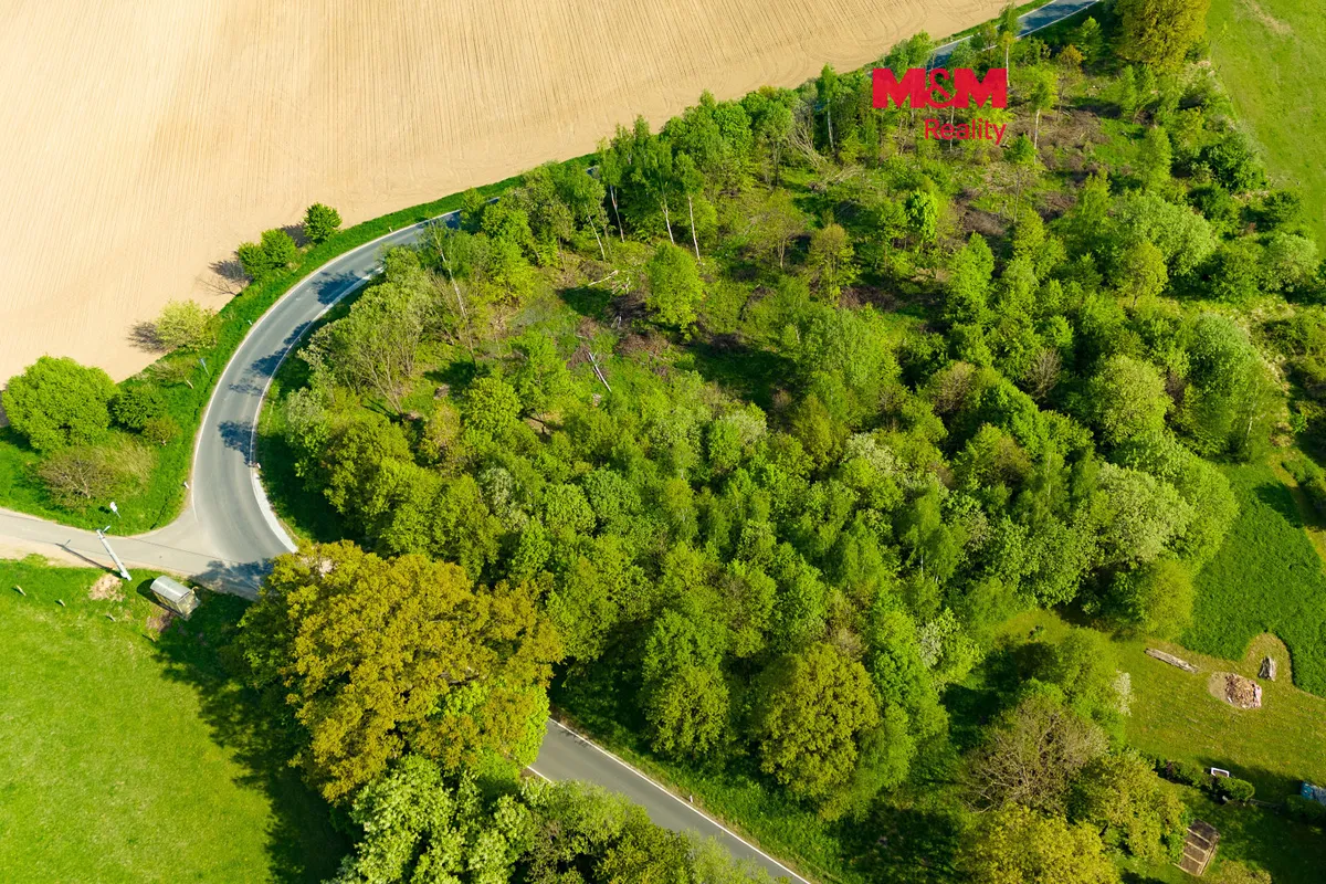 Prodej louky 4228 m²